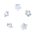 100g Acrylic Flower 10x4mm: Clear Matte