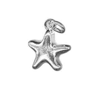 12mm Starfish Charm SP