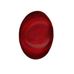 25x18mm Glass Cabochon: Ruby