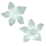 100g Acrylic Flower 27mm: Clear Matte