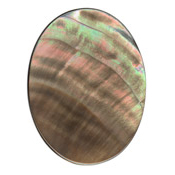 40 x30mm MOP Black Lip Cabochon