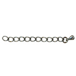 Extension Chain ANT.SILV