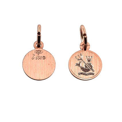 9mm Zodiac Pendant Aquarius St Silver Rose Gold Plated